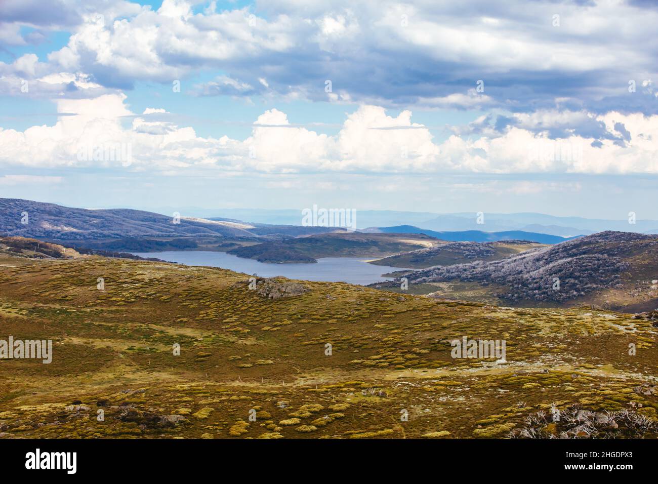 Sommerlandschaft am Mt McKay Australien Stockfoto