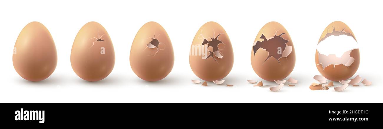 Realistisches Hühnerei gebrochen, schlüpfende Küken Stadien. Zerrissene Eier mit Eierschalenstücken. 3D zerbrechlicher Eierbruch im Inkubator-Vektorset Stock Vektor