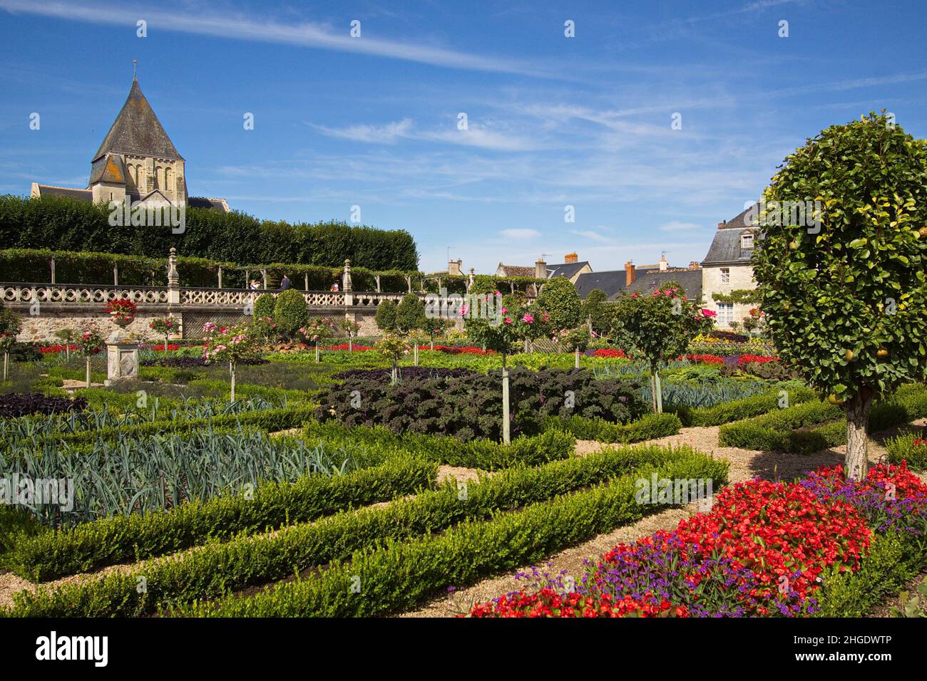 Gärten des Schlosses Villandry des Loire-Tals in Frankreich, Europa Stockfoto