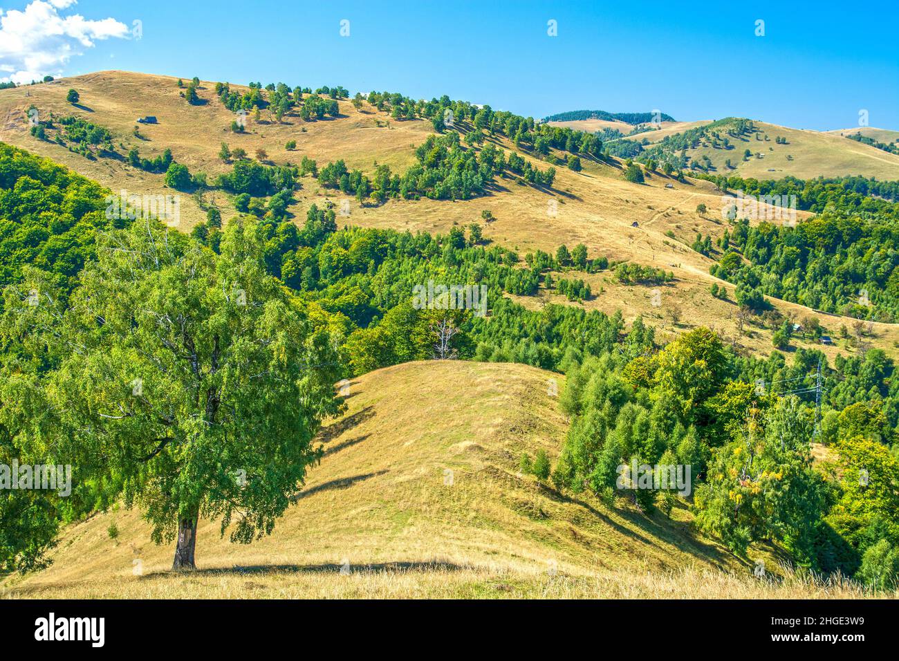 Landschaft in rumänischen Karpaten Berge, Sibiu Bereich, Siebenbürgen Stockfoto