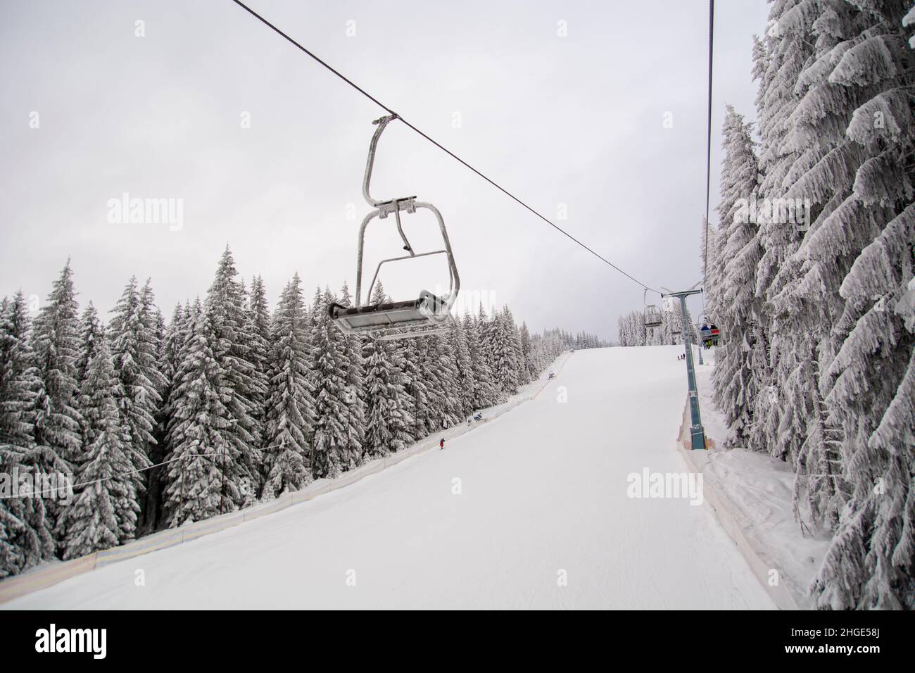 Skipiste im Winter, Schnee und gefrorene Bäume in Paltinis, Karpaten, Rumänien Stockfoto