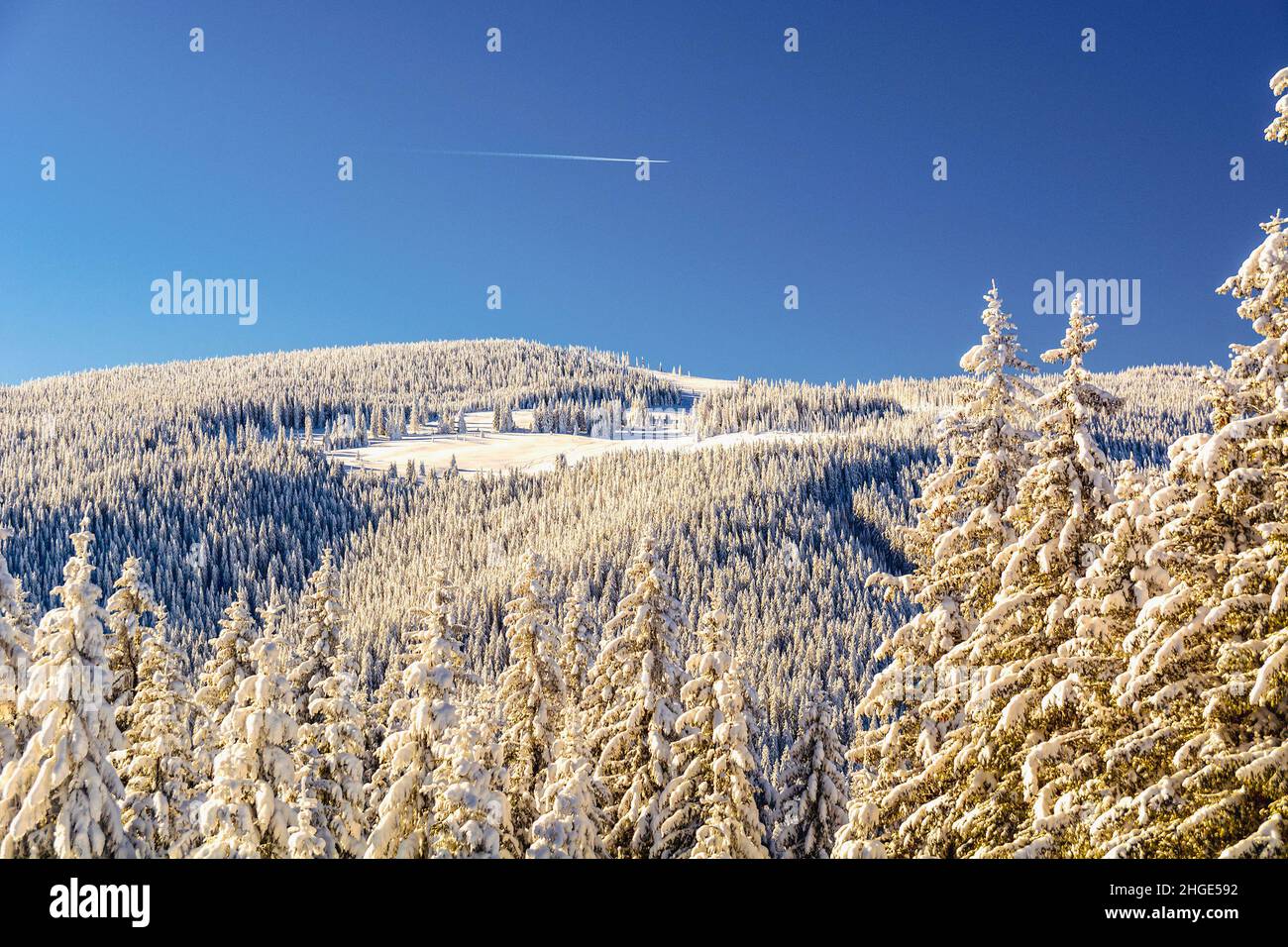 Winterlandschaft in Rumänien, Paltinis Skigebiet, Sibiu County, Karpaten Stockfoto