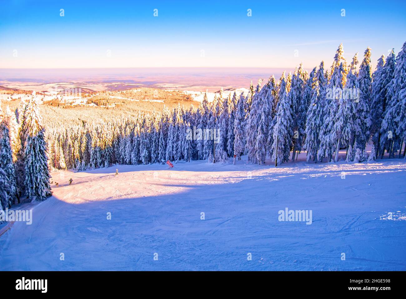 Winterlandschaft in Rumänien, Paltinis Skigebiet in Sibiu County, Karpaten Stockfoto