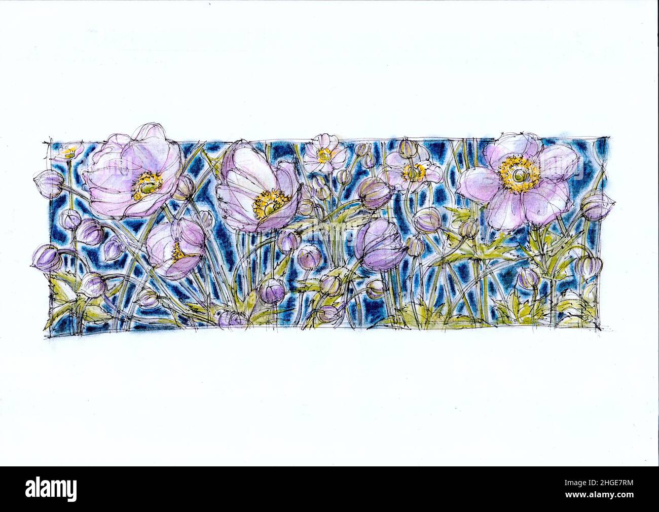 Abbildung von blassrosa japanischen Anemonen auf blauem Hintergrund. Stockfoto