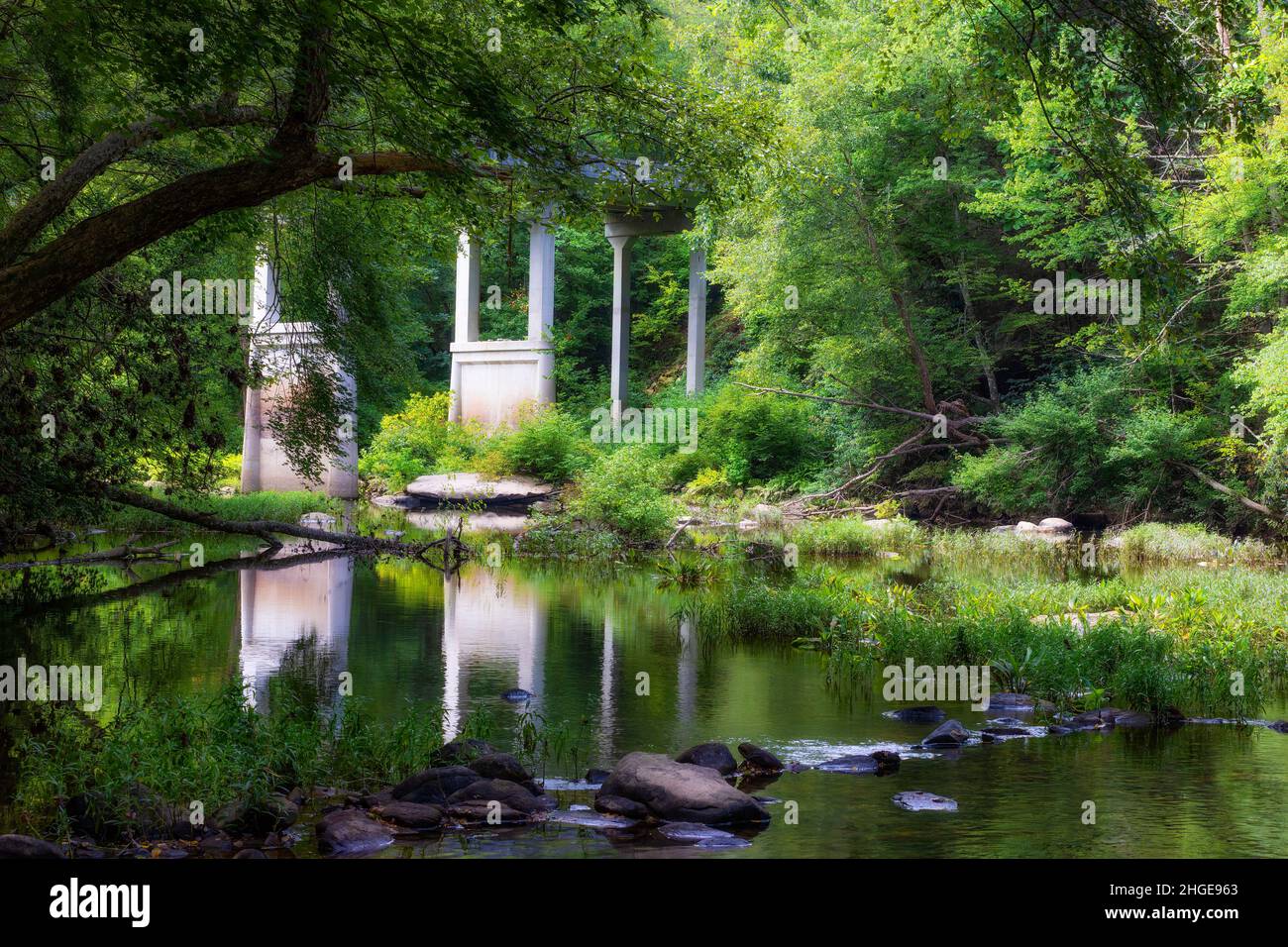 Das ruhige Wasser eines kleinen Flusses, der von Wald und reflektierender Straßenbrücke beschattet wird, bietet einen beruhigenden Hintergrund mit Copyspace. Stockfoto