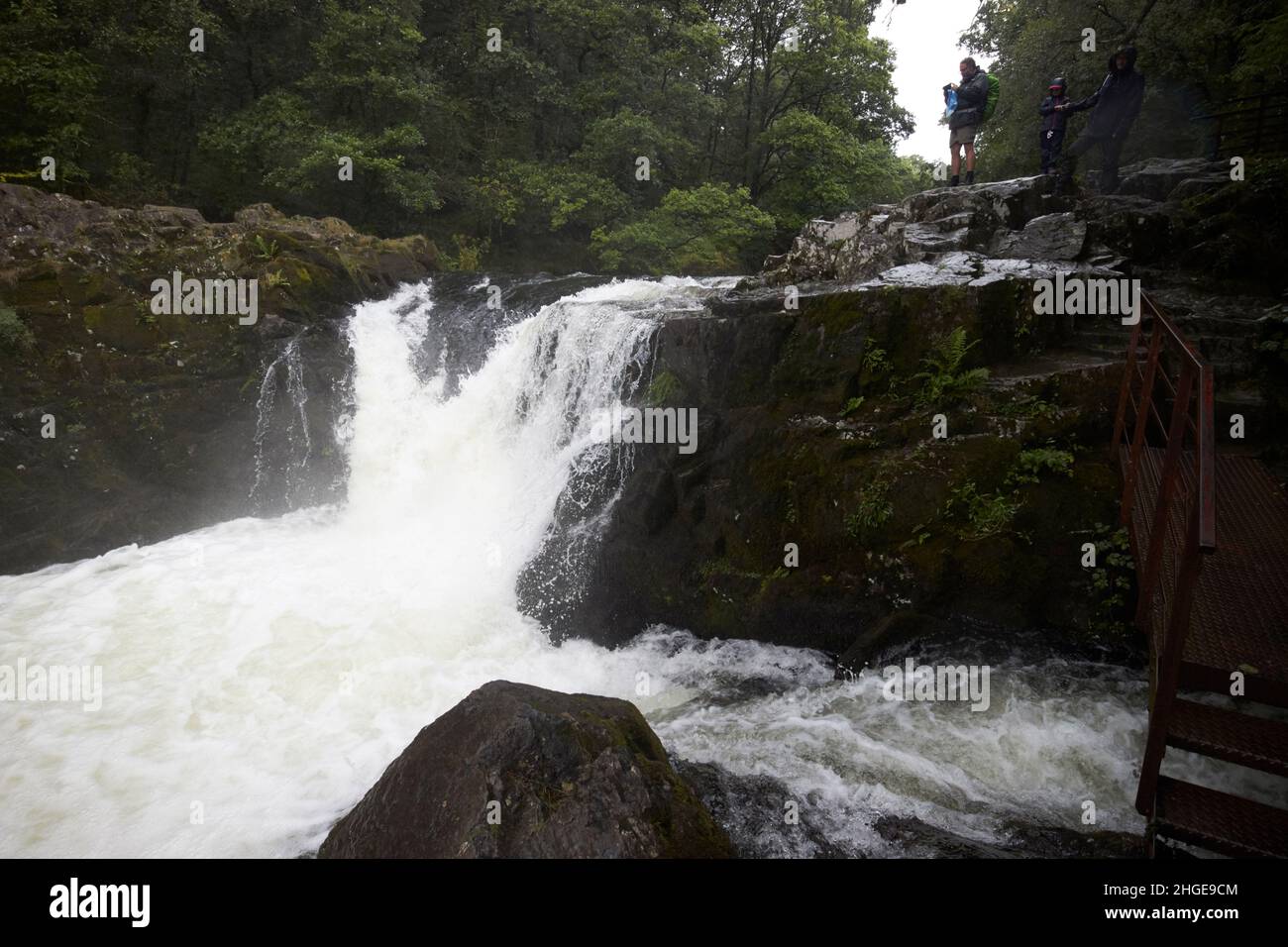 Touristen stehen auf dem Gipfel des skelwith Force Wasserfalls am Fluss brathay in der Nähe von ambleside Lake District, cumbria, england, großbritannien Stockfoto