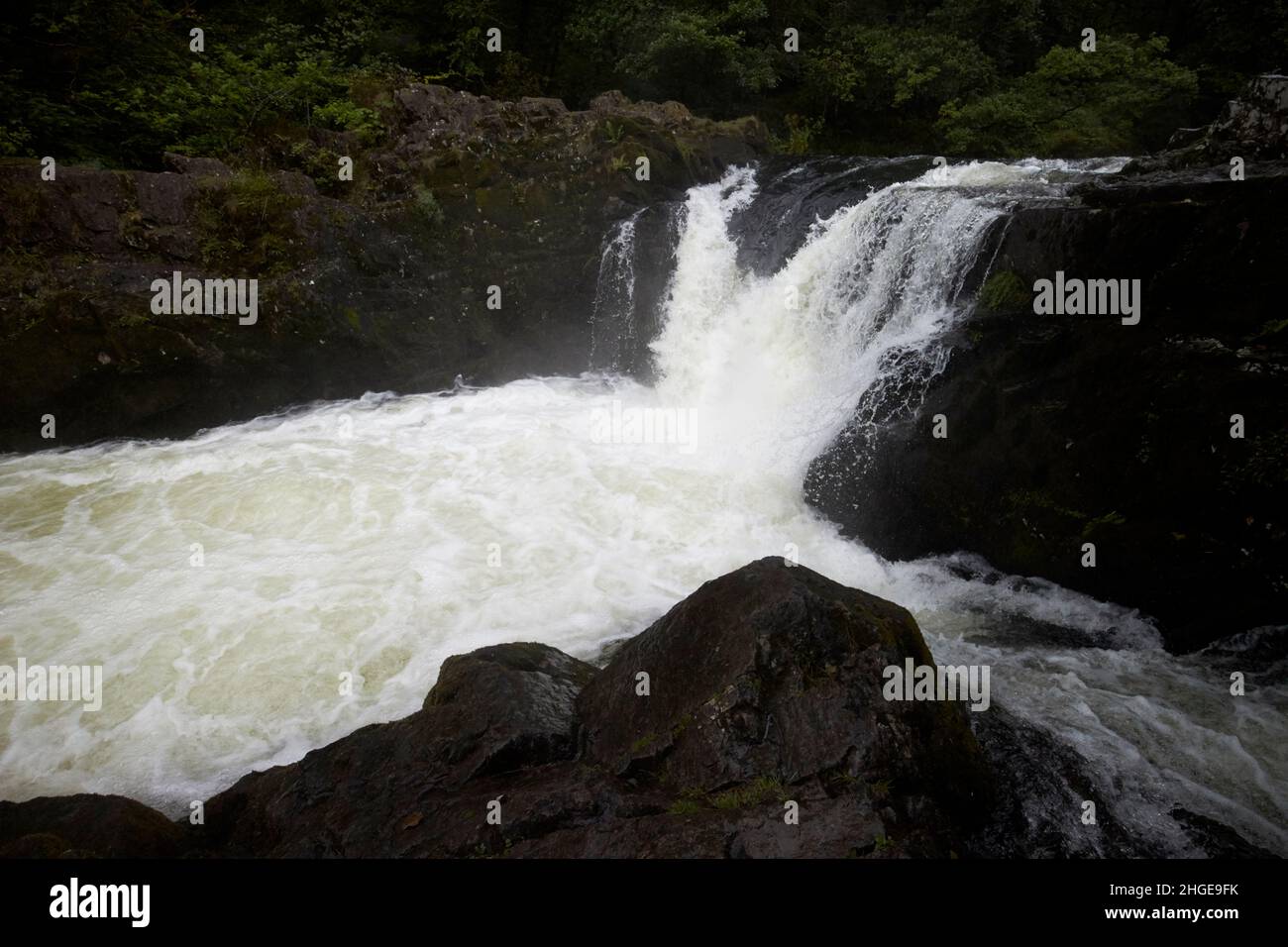 skelwith Force Wasserfall auf dem Fluss brathay in der Nähe von ambleside Lake District, cumbria, england, großbritannien Stockfoto