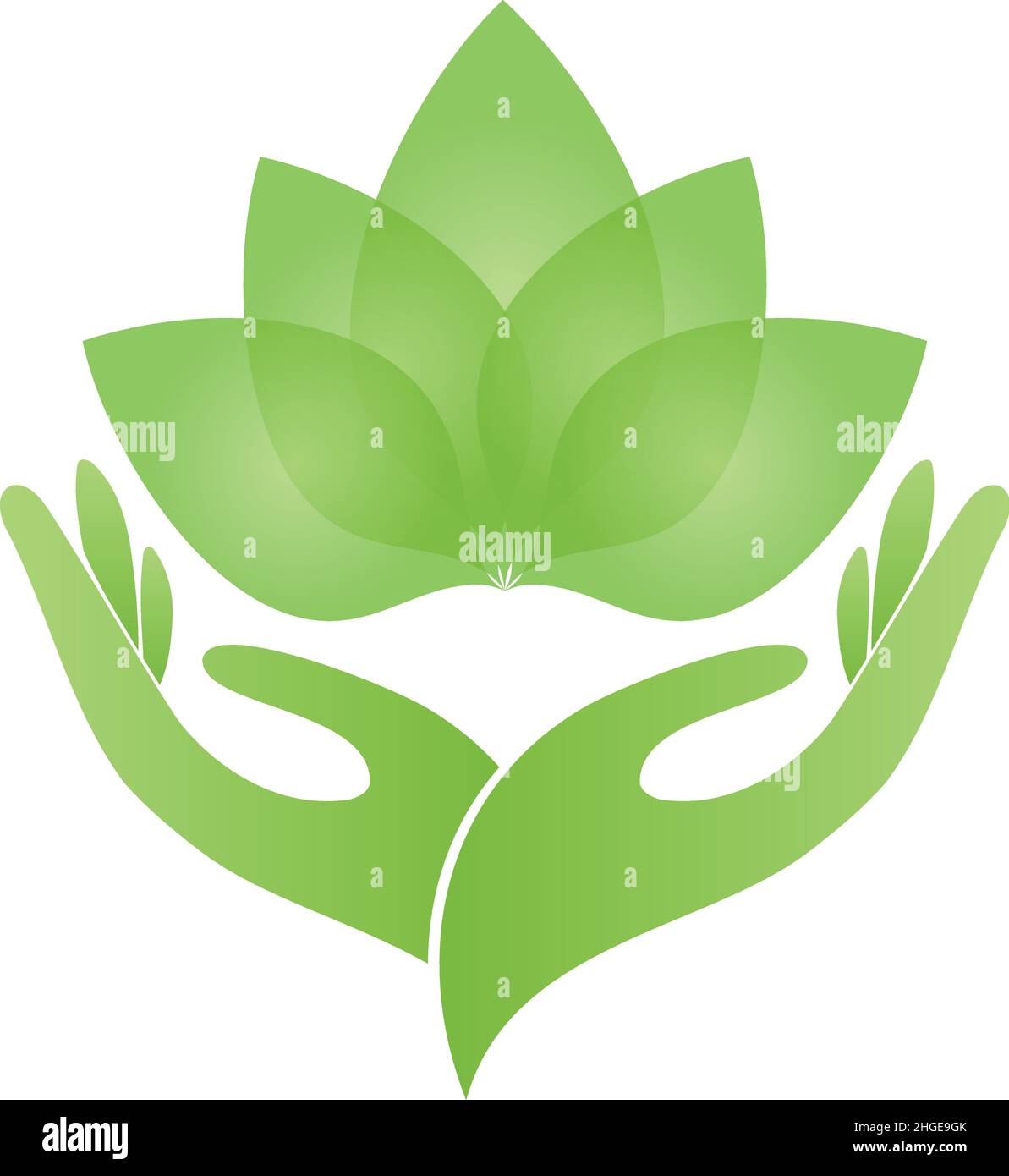 Hände, Blätter, Pflanze, Wellness, Gärtner, Logo Alamy