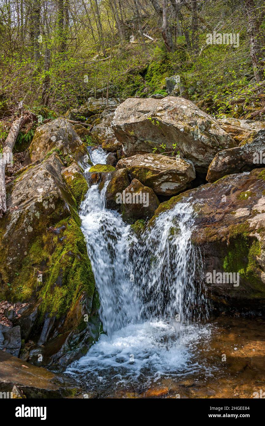 Schöner kleiner Wasserfall und Pool in den Bergen Stockfoto