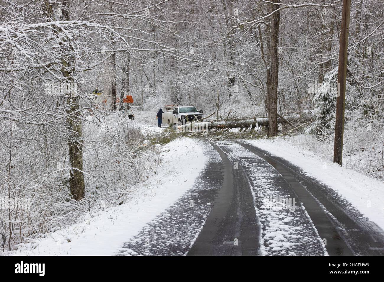 Pineu Flats, Tennessee, USA - 16. Januar 2022: Winterszene eines Baumes, der eine Straße blockiert, während ein Power-Team daran arbeitet, sie zu entfernen. Stockfoto