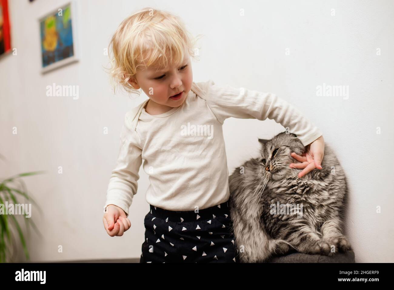 Baby spielt mit ihrer Katze zu Hause. Kommunikation von alten Tieren und Kindern. Kleinkind quält Tier Stockfoto