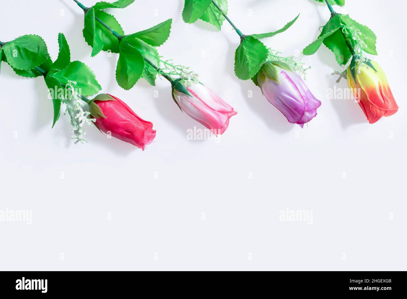 Mehrfarbige Tulpen auf weißem Hintergrund. Hochzeit. Geburtstag. Alles gute zum Frauentag. Muttertag. Valentinstag. Platz kopieren Stockfoto