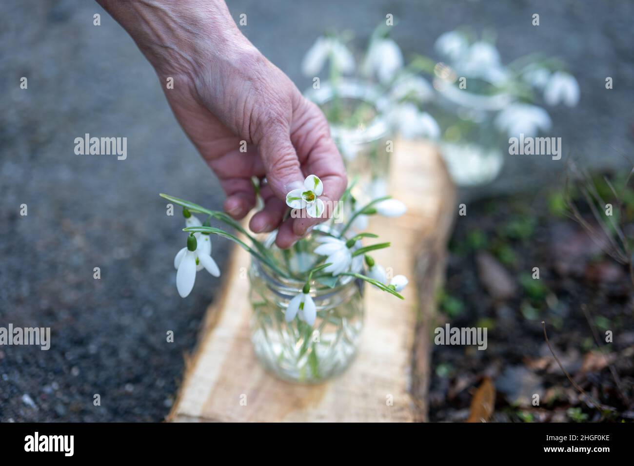 Schülerinnen und Schüler in der Schule Stockfoto