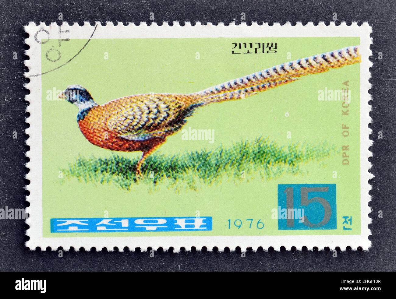 Abgesagte Briefmarke, gedruckt von Nordkorea, die Reeves Fasant (Syrmaticus reevesii) zeigt, um 1976. Stockfoto