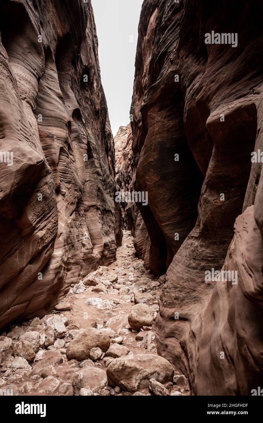 Kürzere Wände des Buckskin Gulch lassen Licht in gedämpften Farben an einem Morgen des Morgengrauen einwirken Stockfoto