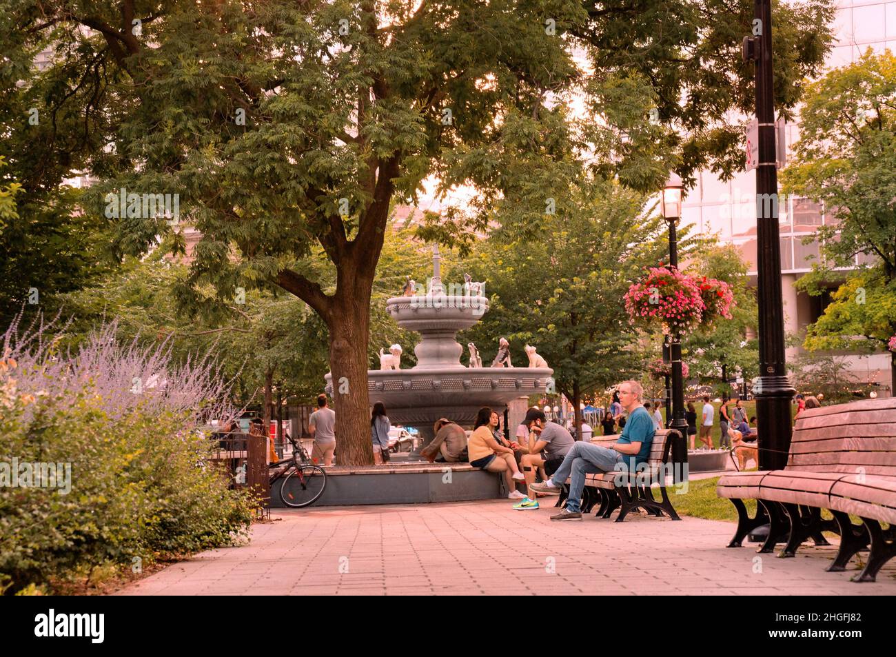 TORONTO, KANADA - 07 21 2020: Die Bürger von Toronto genießen sonniges Wetter und heben den Aufenthalt zu Hause Ordnung im Berczy Park vor dem berühmten Hund Stockfoto