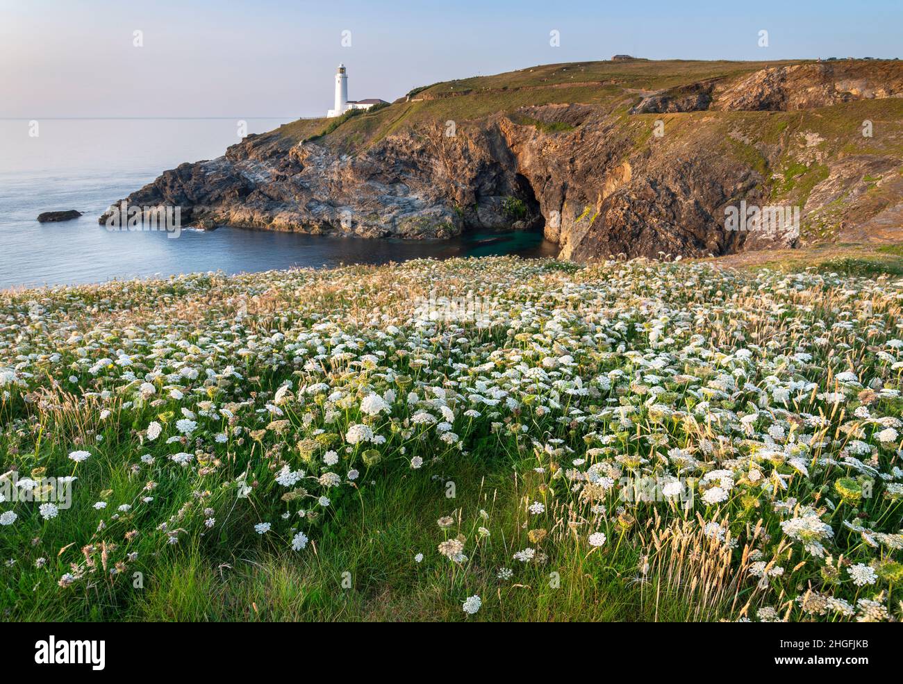 Der historische Leuchtturm, ein beliebter Touristenort, weiß getüncht und Sommer Sonne geküsst Wahrzeichen im Hintergrund, Clifftop mit wilden Blumen bedeckt, in der Mitte Stockfoto