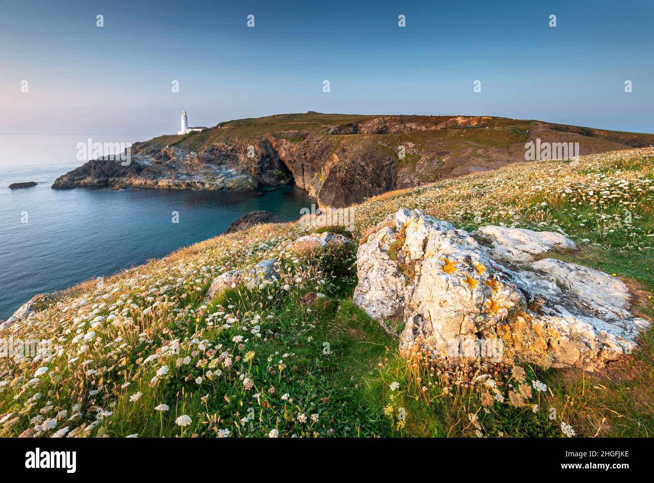 Der historische Leuchtturm, ein beliebter Touristenort, weiß getüncht und Sommer Sonne geküsst Wahrzeichen im Hintergrund, Clifftop mit wilden Blumen bedeckt, in der Mitte Stockfoto