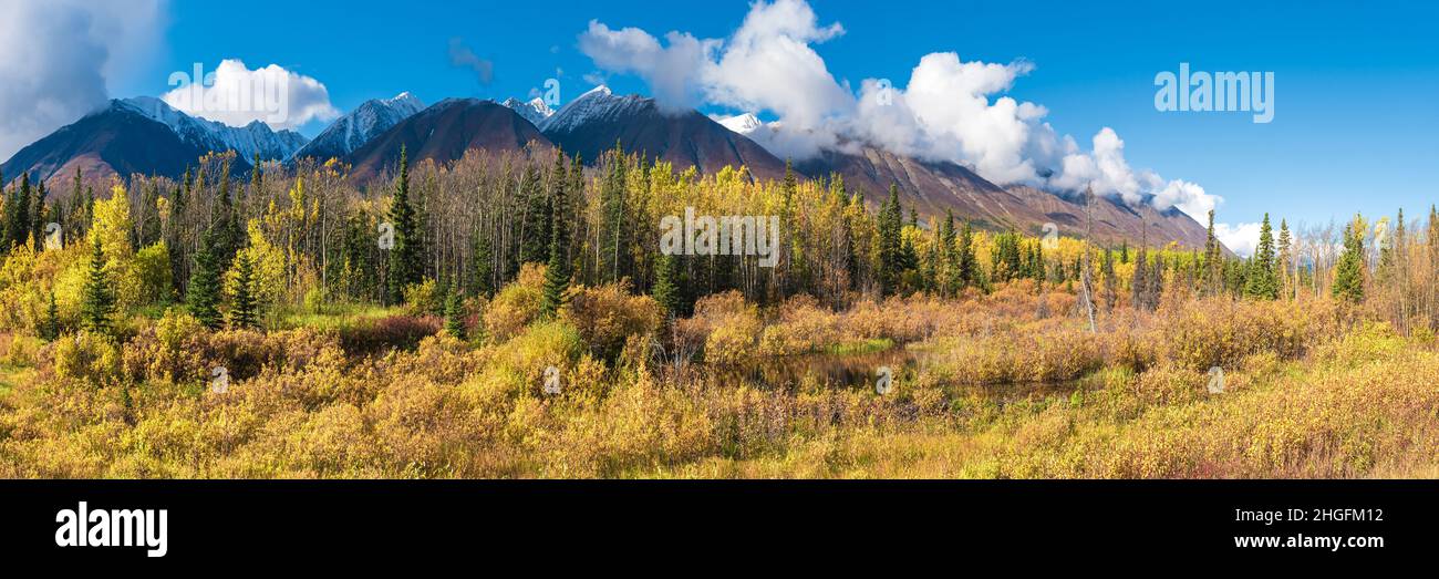 Herbst, Herbst Panorama-Landschaft im Norden Kanadas im September mit gelb gefärbten Landschaft. Atemberaubender blauer Himmel mit Wolken über landschaftlich schönem V Stockfoto
