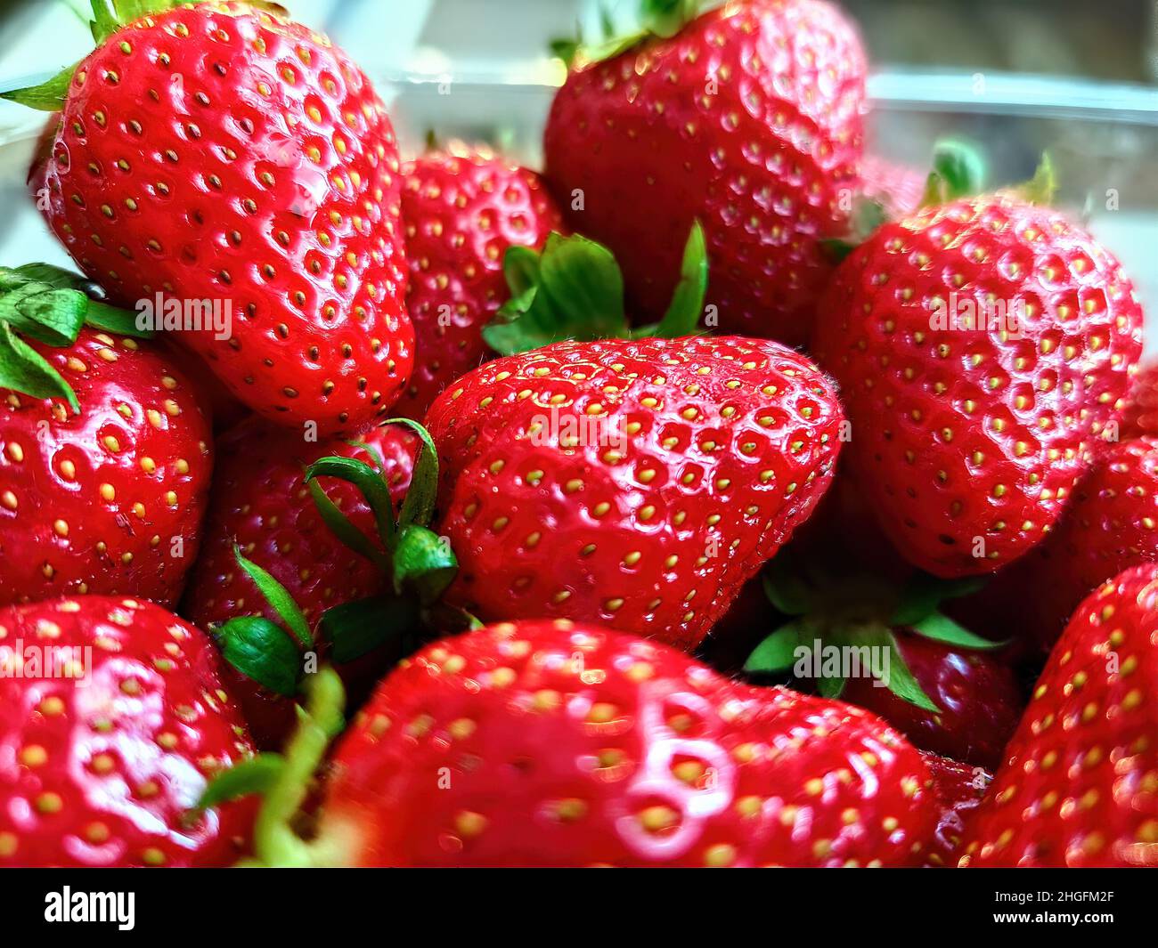 Frische saftige Erdbeeren mit Blättern. Erdbeere. Stockfoto