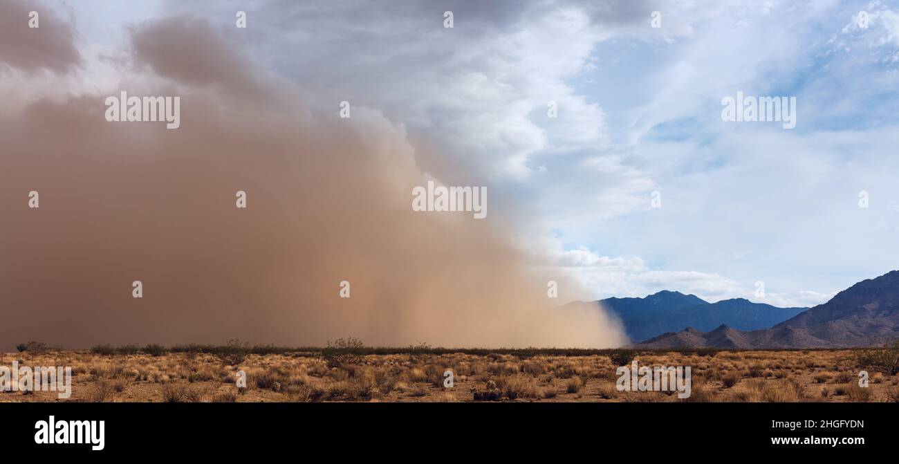 Ein Haboob-Staubsturm in der Wüste von Arizona während der Monsunsaison Stockfoto