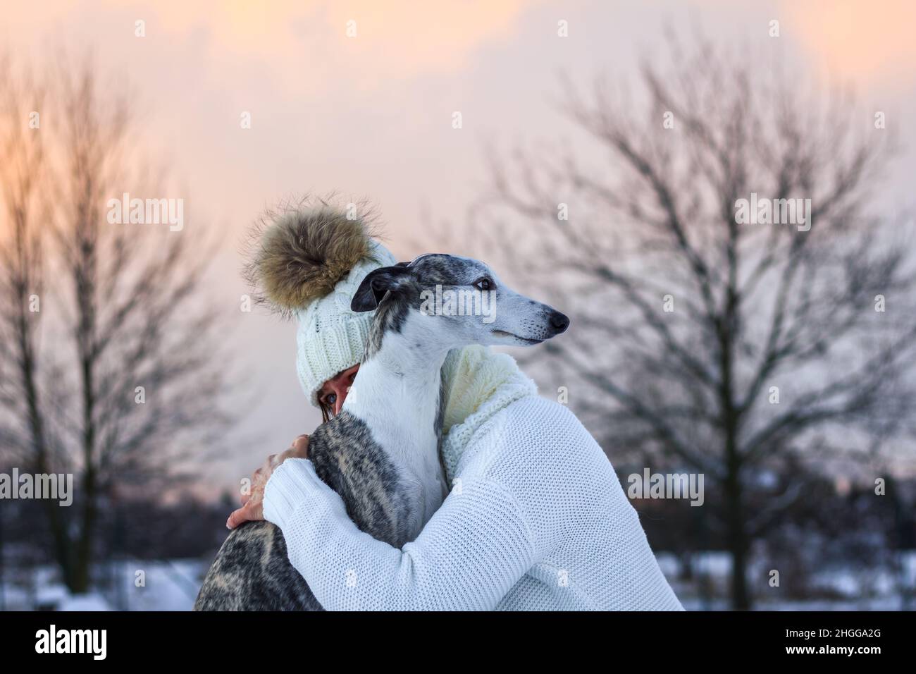 Frau umarmt ihren Hund im Winter Sonnenuntergang. Freundschaft zwischen Tierbesitzerin und ihrem Windhund Stockfoto