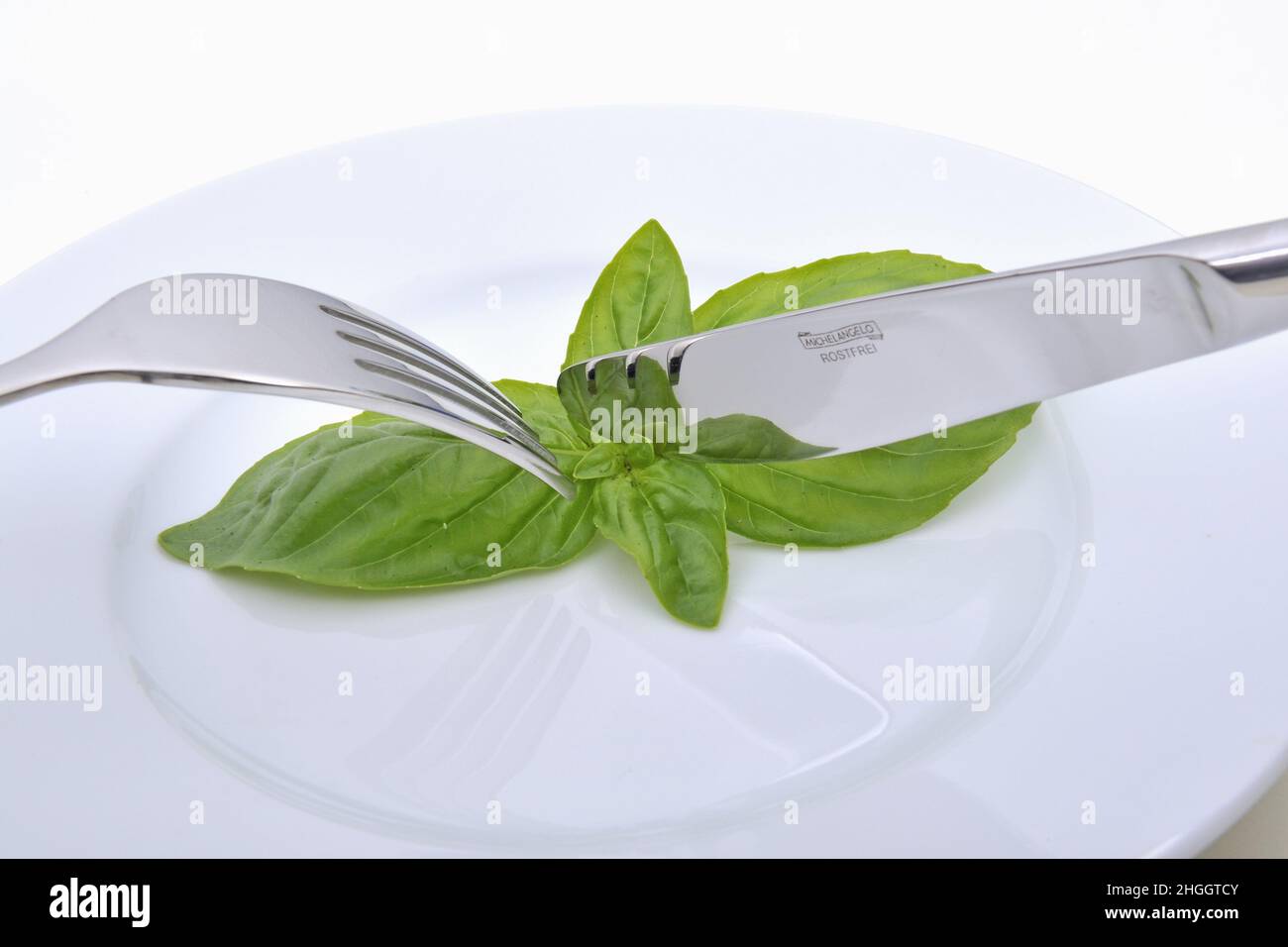basilikumblatt auf einem Teller, Diät Stockfoto