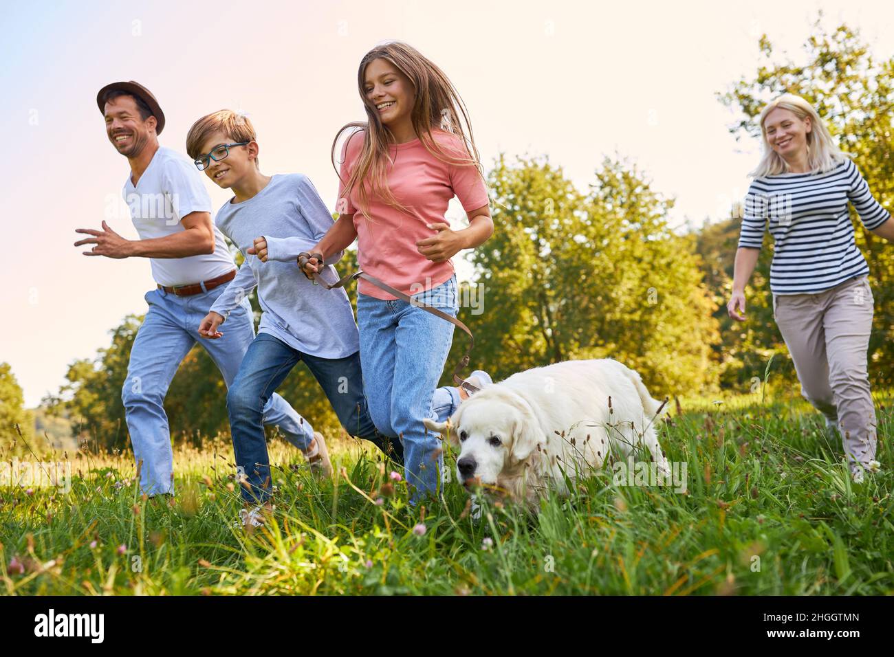 Eltern und zwei Kinder laufen zusammen mit Retriever Dog über eine Sommerwiese Stockfoto