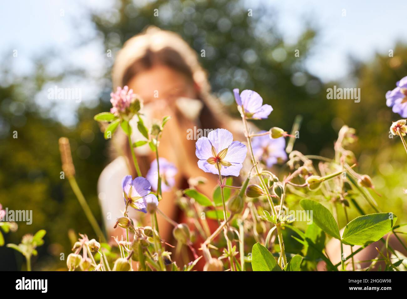 Blühende Blumen im Frühling und Kind mit Heuschnupfen, die Nase im Hintergrund bläst Stockfoto