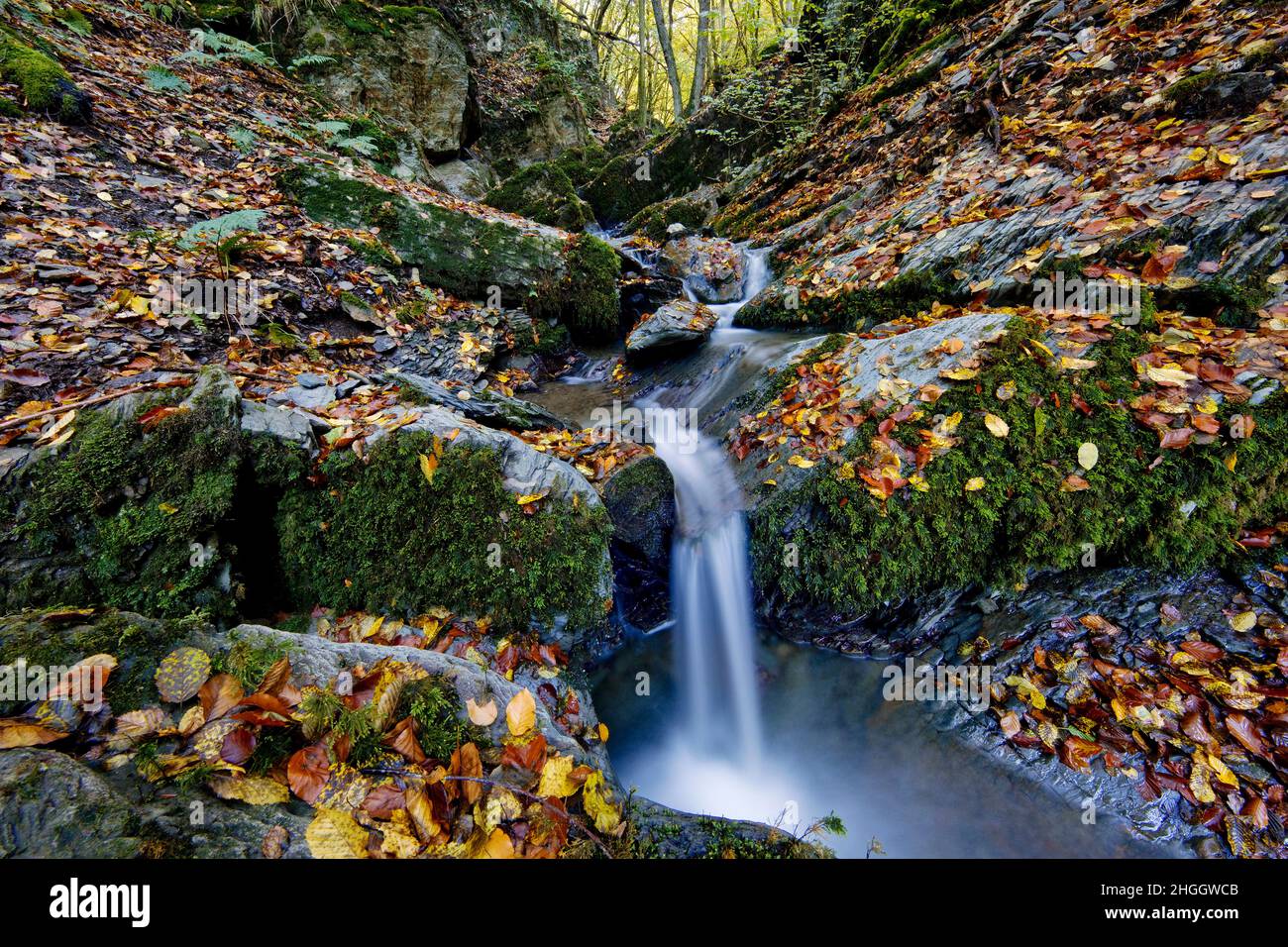 Kleiner Wasserfall am Naturschutzgebiet Bommecketal im Herbst, Deutschland, Nordrhein-Westfalen, Sauerland, Naturschutzgebiet Bommecketal Stockfoto