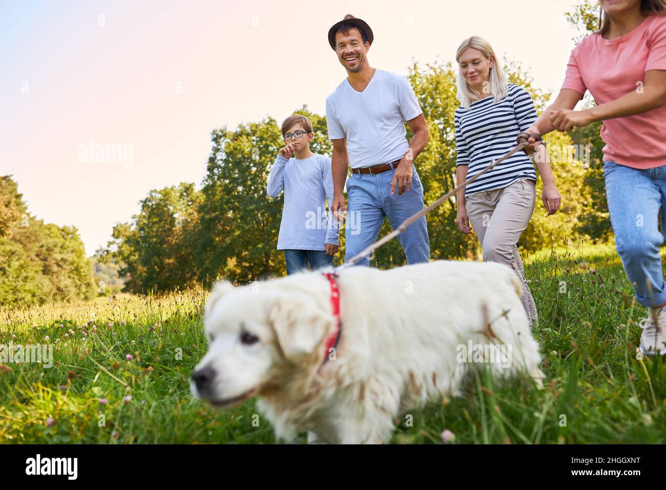Familie und zwei Kinder gehen im Sommer mit ihrem Retriever-Hund auf einer Wiese Stockfoto