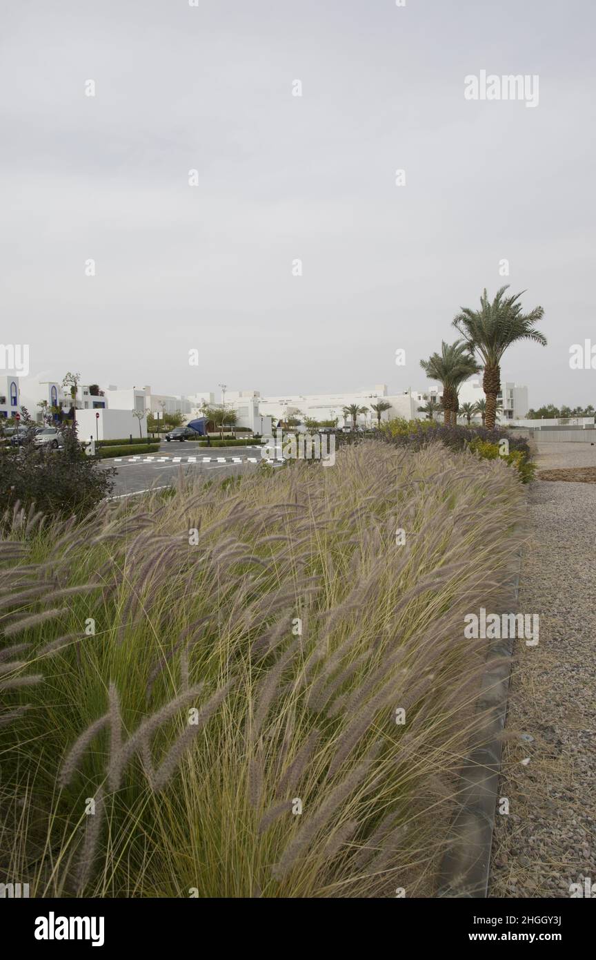 Cloud7 Megaprojekt der Ayla Oasis Development Company in Aqaba, Jordanien für das Ayla Oasis Regenerationsprojekt, das auf die Stadterneuerung und Investitionen abzielt. Stockfoto