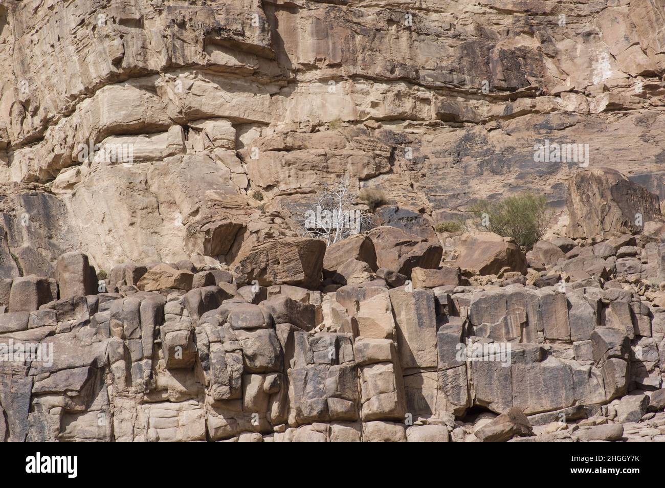 Wüstenlandschaft des Wadi Rum, einer Schlucht in Jordanien mit rotem Sand und Felswänden. Stockfoto