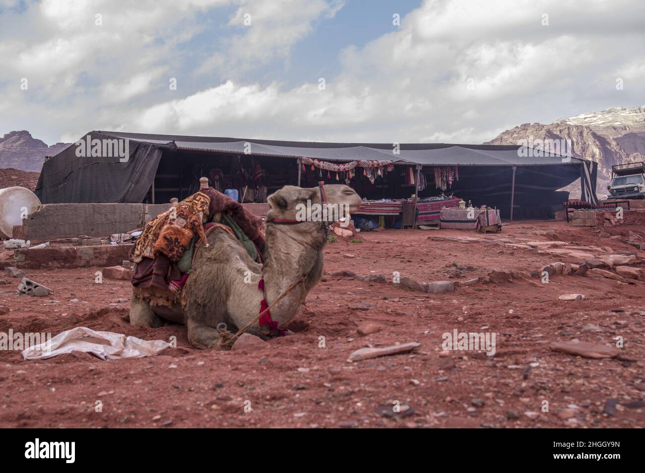 Ein domestiziertes Kamel mit dekorativem Sattel in der Wüstenlandschaft des Wadi Rum, einer Schlucht in Jordanien mit rotem Sand und Felswänden. Stockfoto