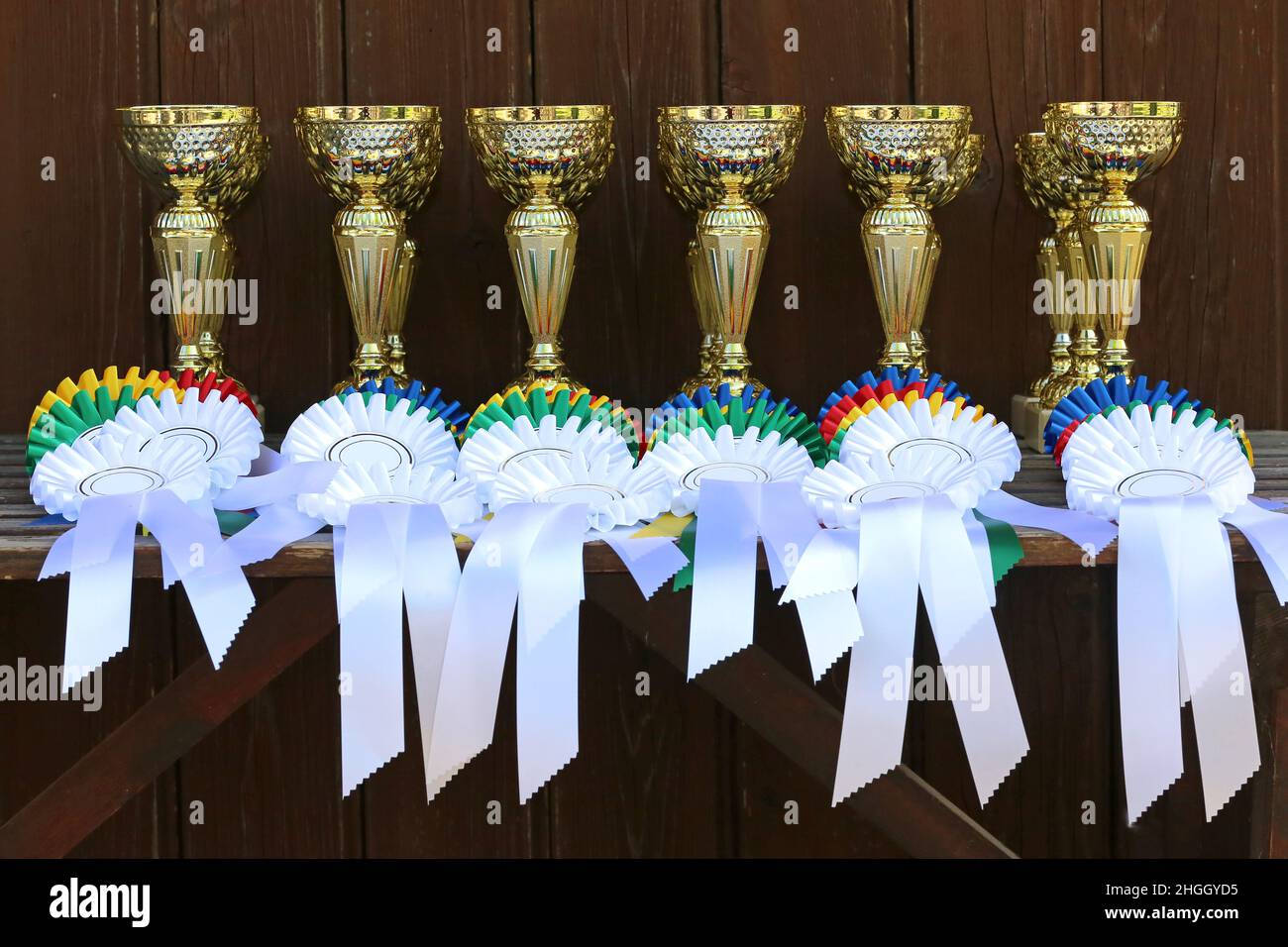 Gruppe von Pferdesport-Trophäen und Abzeichen Rosetten bei Reitsport-Veranstaltung in Reihe. Haufen von Sporttrophäen und Abzeichen Rosetten für die Sieger auf der Ausstellung Stockfoto