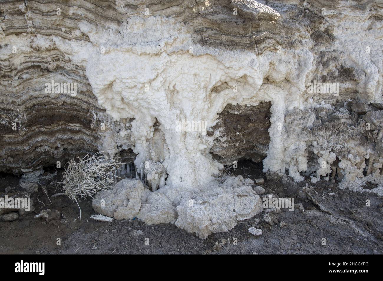 Salzformationen am Toten Meer in Jordanien, Naher Osten. Salzkristalle Salzwassersedimentation am niedrigsten Ort der Erde, dem niedrigsten See Stockfoto