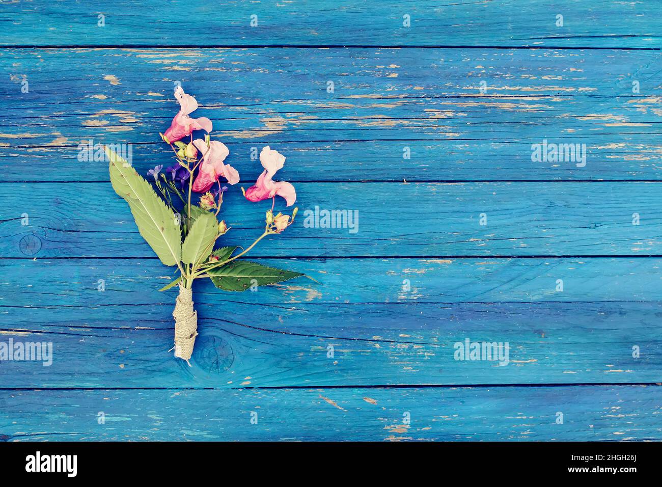 Blau gealterte Holzstruktur mit kleinem Bouquet von indischen Balsamblüten. Impatiens glandulifera Pflanze. Natürliche Holzbretter rauer Hintergrund Stockfoto