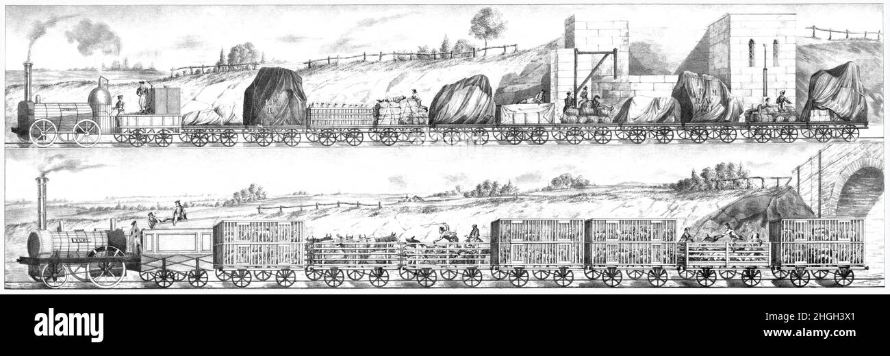 Eine Illustration der Liverpool and Manchester Railway (L&MR) aus dem 19th. Jahrhundert, entworfen und gebaut von George Stephenson. 1830 eröffnet, war sie die erste Überstadtbahn der Welt; die erste Eisenbahn, die ausschließlich auf Dampfloks angewiesen war; die erste, die über ihre gesamte Länge zweigleisig war; die erste, die über ein Signalsystem verfügt; Die erste, die vollständig terminiert ist und die erste, die Post trägt. Es wurde vor allem gebaut, um einen schnelleren Transport von Waren und Passagieren zwischen Liverpool und Manchester und gelegentlich einen kompletten Zirkus zu ermöglichen! Stockfoto