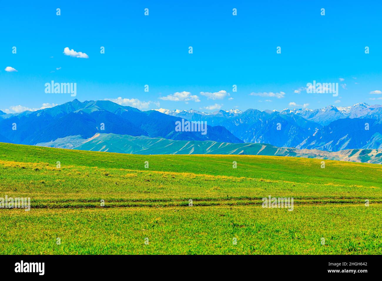 Grünes Gras und Berg mit blauem Himmel Hintergrund.Grüne Graslandlandschaft in Xinjiang, China. Stockfoto