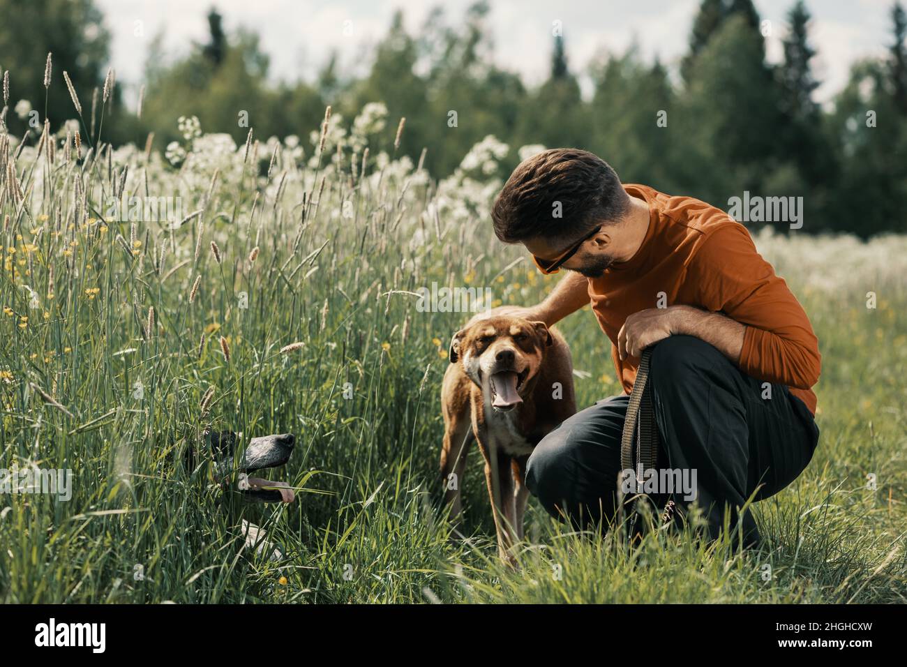 Mann und roter Hund im Freien von Angesicht zu Angesicht. Stockfoto