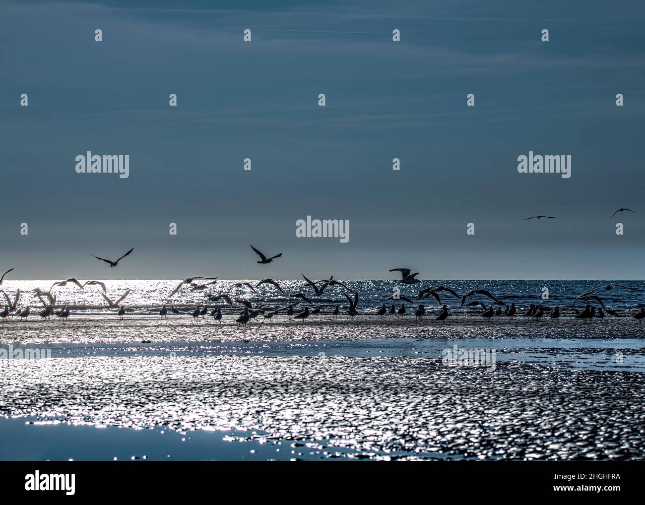 Saint Valery sur Somme, baie de Somme, Chenal et reflets dans l'Eau, Stockfoto