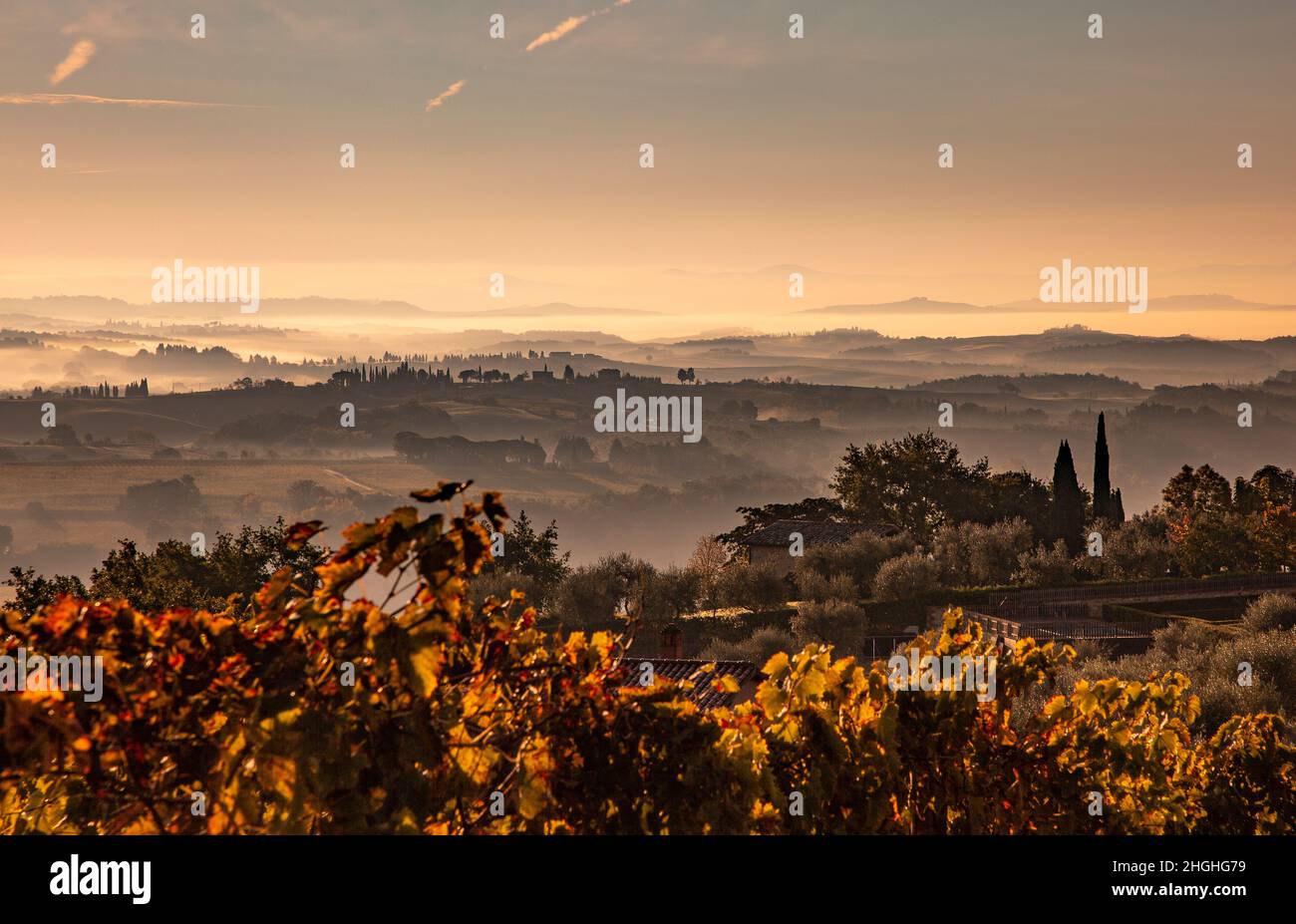 Verträumte Landschaft von einem nebligen Morgen Blick auf die chianti-Weinberge und Täler in der Toskana, Italien. Stockfoto