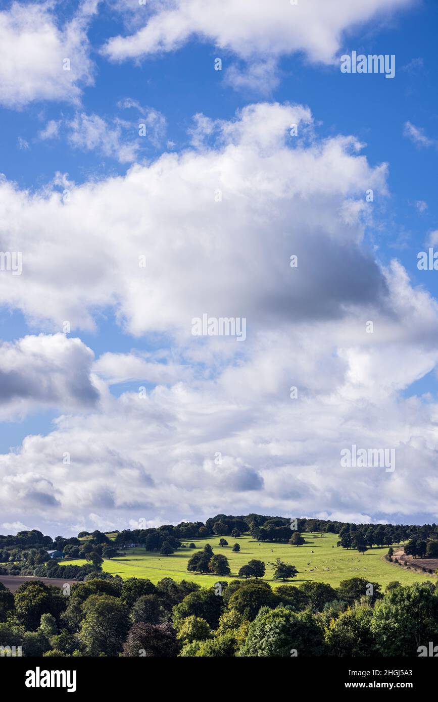 Grüne Felder und sanfte Hügel, Landschaft im September Sonnenschein in der Nähe von Wakefield, Yorkshire, England, Großbritannien Stockfoto