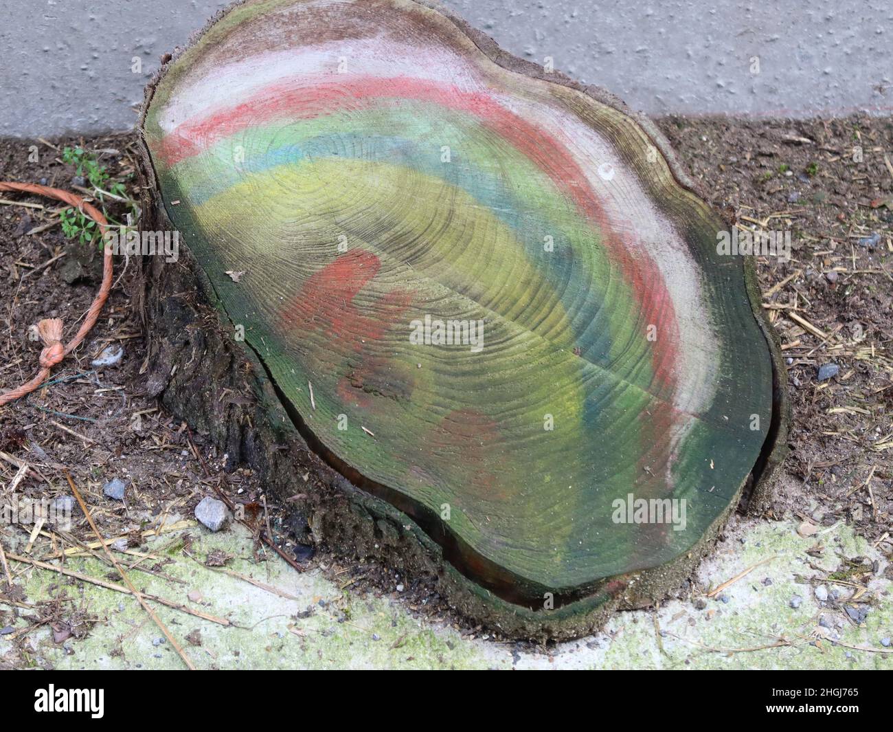 Der Querschnitt eines Baumstammes mit einem Regenbogen, der dank des NHS darauf gemalt wurde Stockfoto