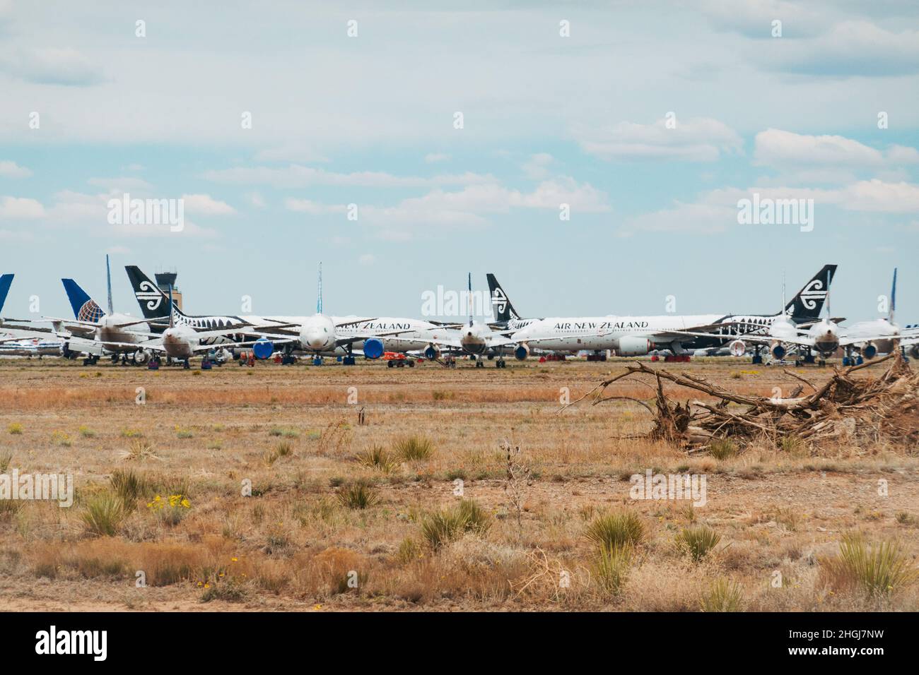 Air New Zealand-Flugzeuge, die aufgrund der COVID-19-Pandemie im Roswell International Air Center, New Mexico, gelagert wurden Stockfoto