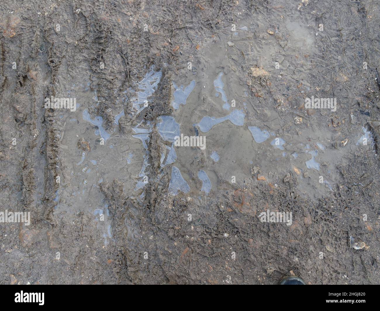 Eis, Wasser und Schlamm auf einem öffentlichen Fußweg in der Nähe von Martinstown, Dorchester, Dorset an einem Wintertag Stockfoto