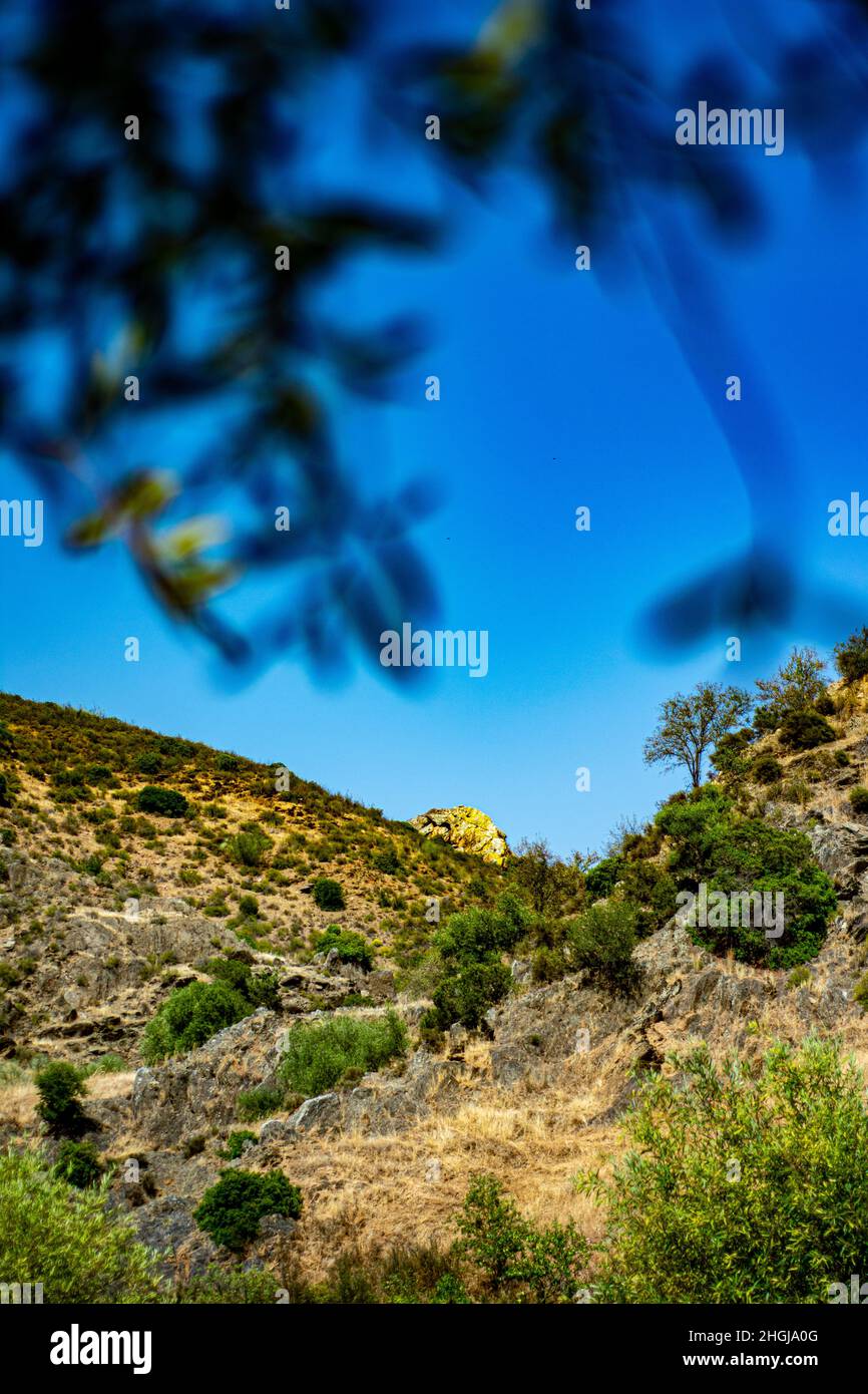 Alentejo Blick auf trockene Hügel Stockfoto