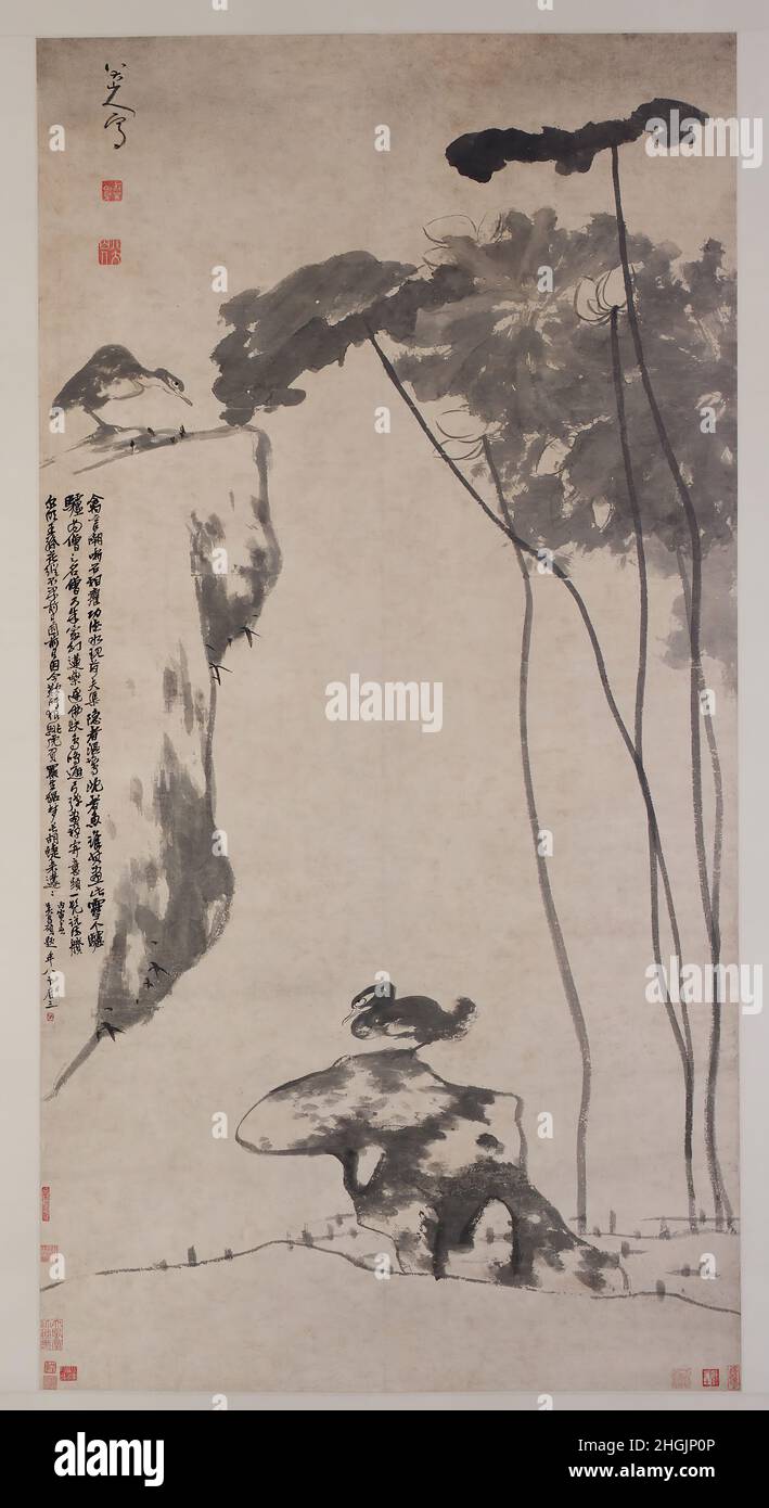 Bada Shanren - Lotus und Enten Stockfoto