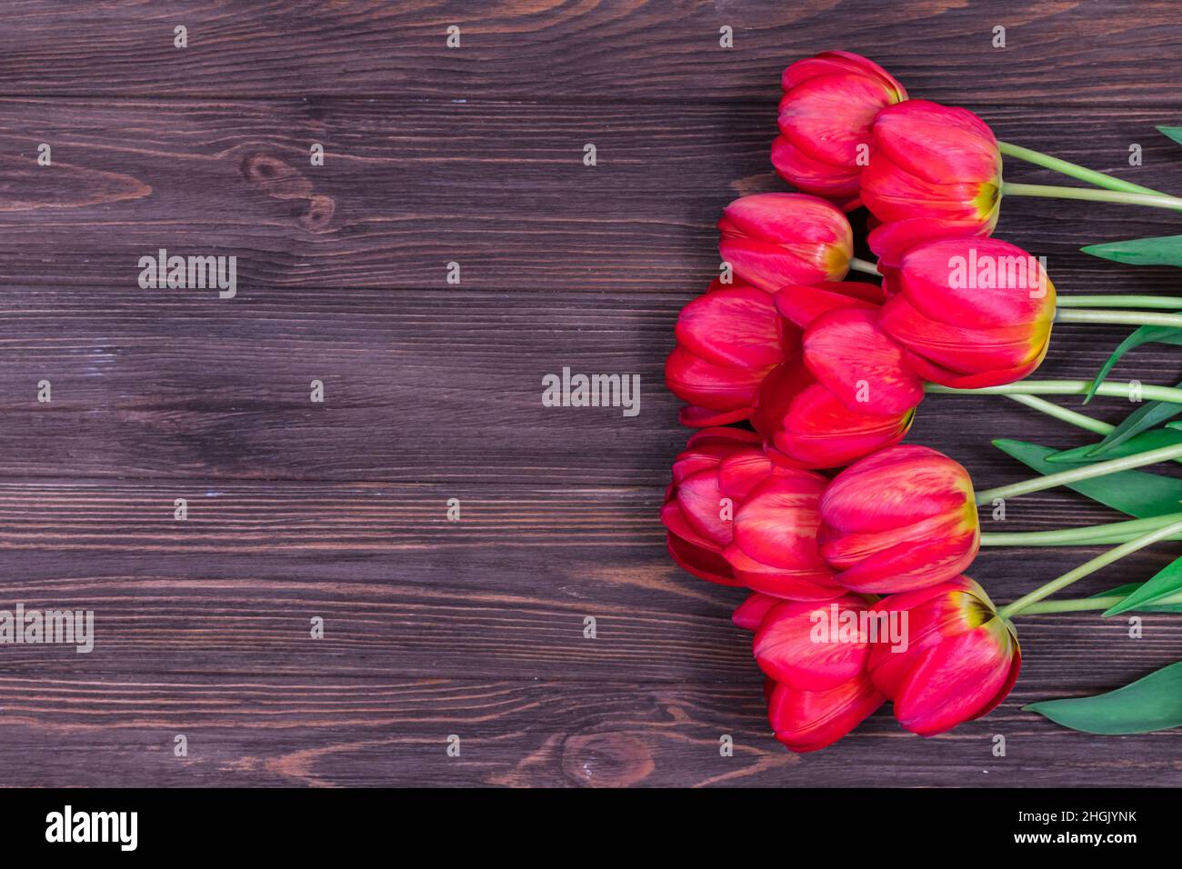 Rote Tulpen auf dunklem Holzhintergrund. Platz für eine Inschrift. Postkarte. Probe. Stockfoto