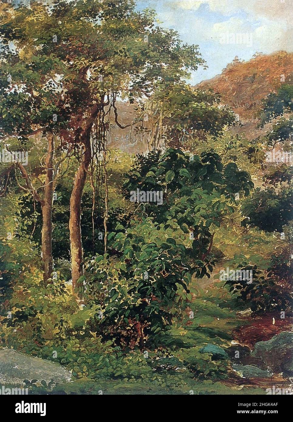Pissarro Camille - Private Collectionorêt tropicale, Galipan - 1854c. - Öl auf Carton montato auf tela 33 x 24,6 cm Stockfoto